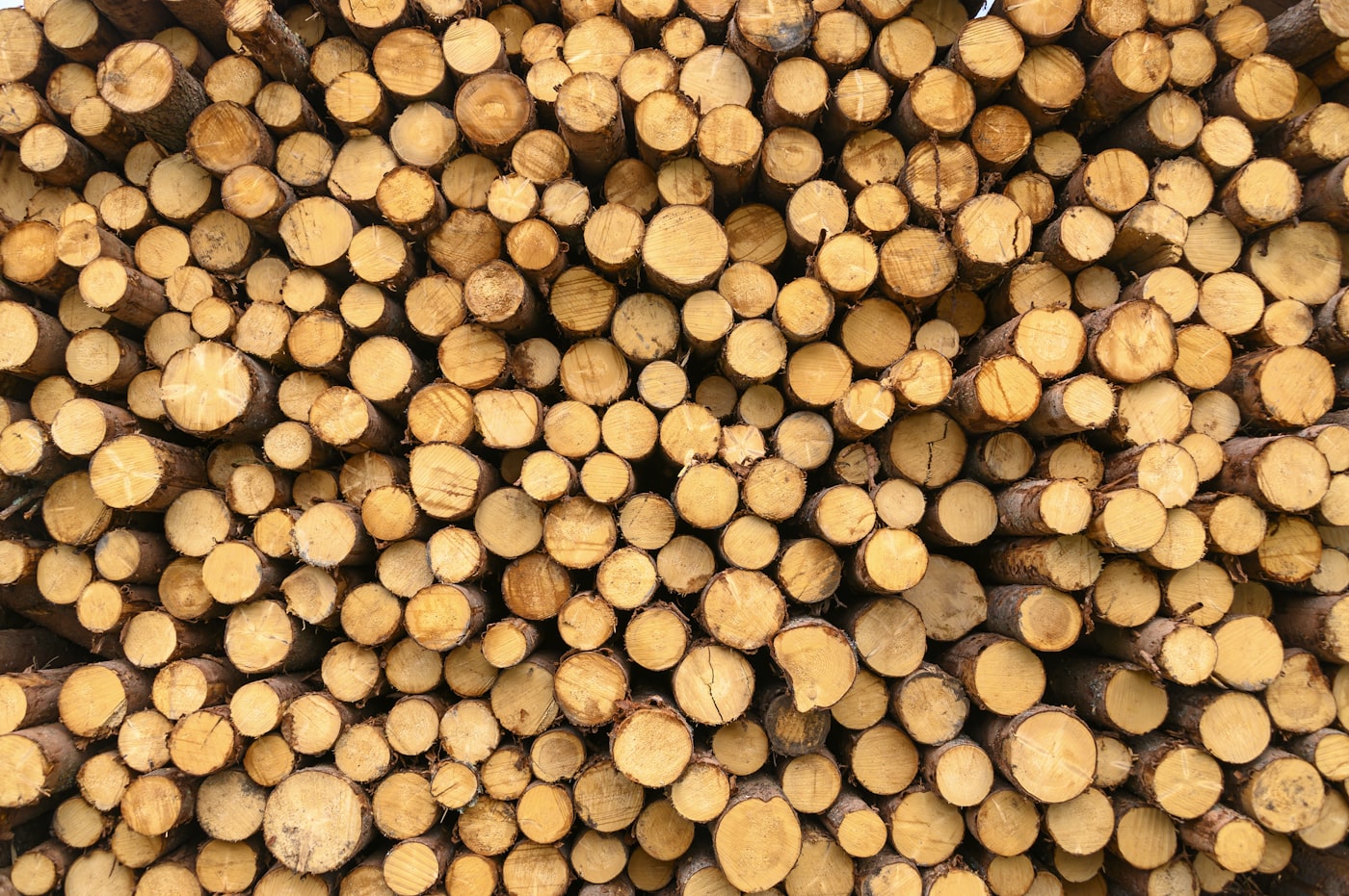 Stacked timber log ends